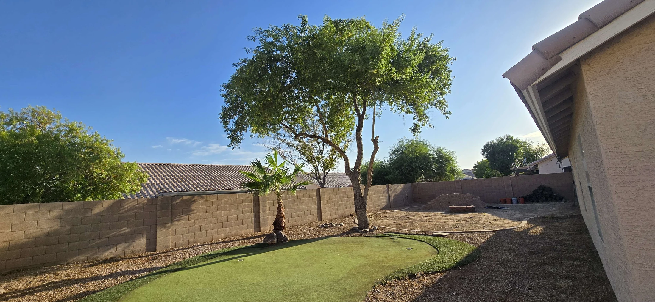 Backyard after cleanup, with a tidier tree and clear, usable yard