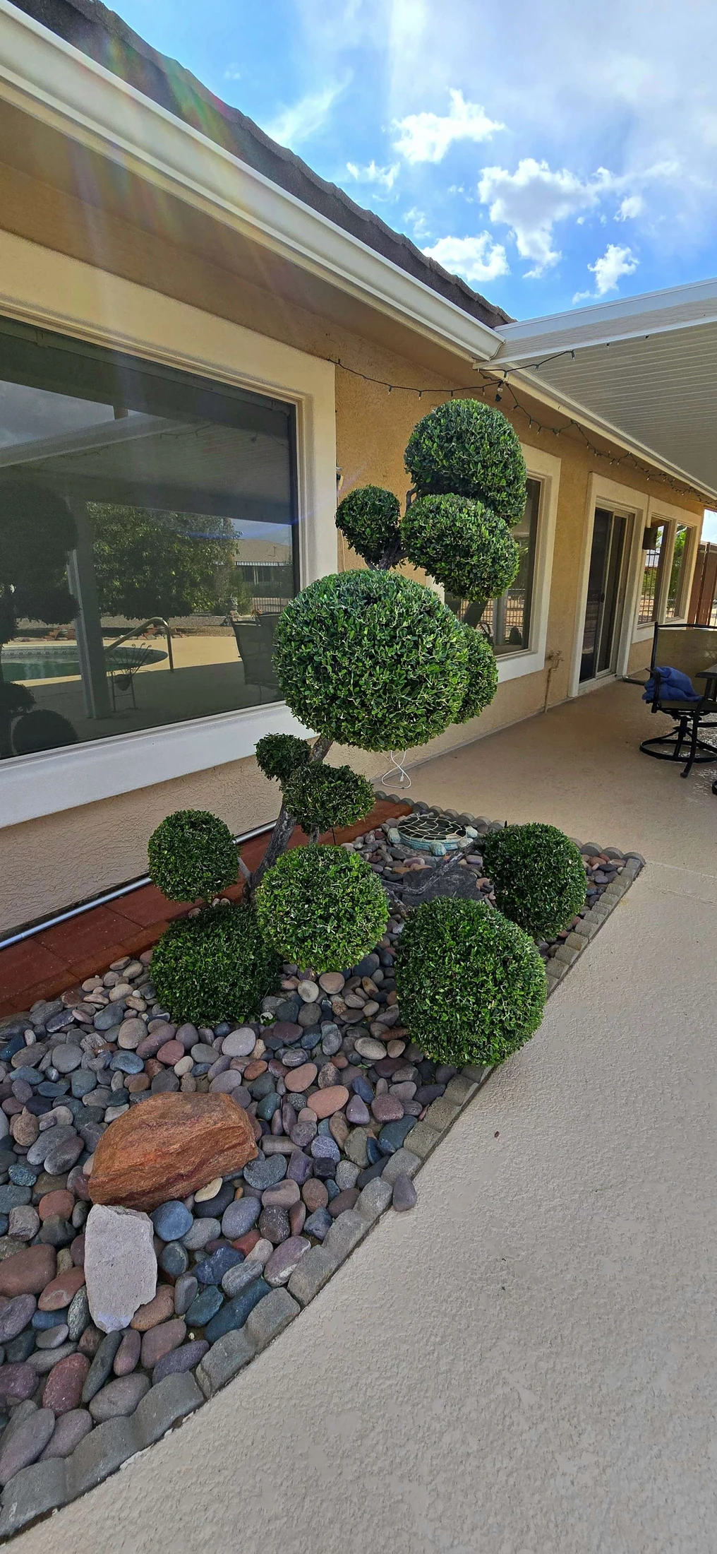 Sculpted shrubs and decorative rock bed beside a Phoenix home