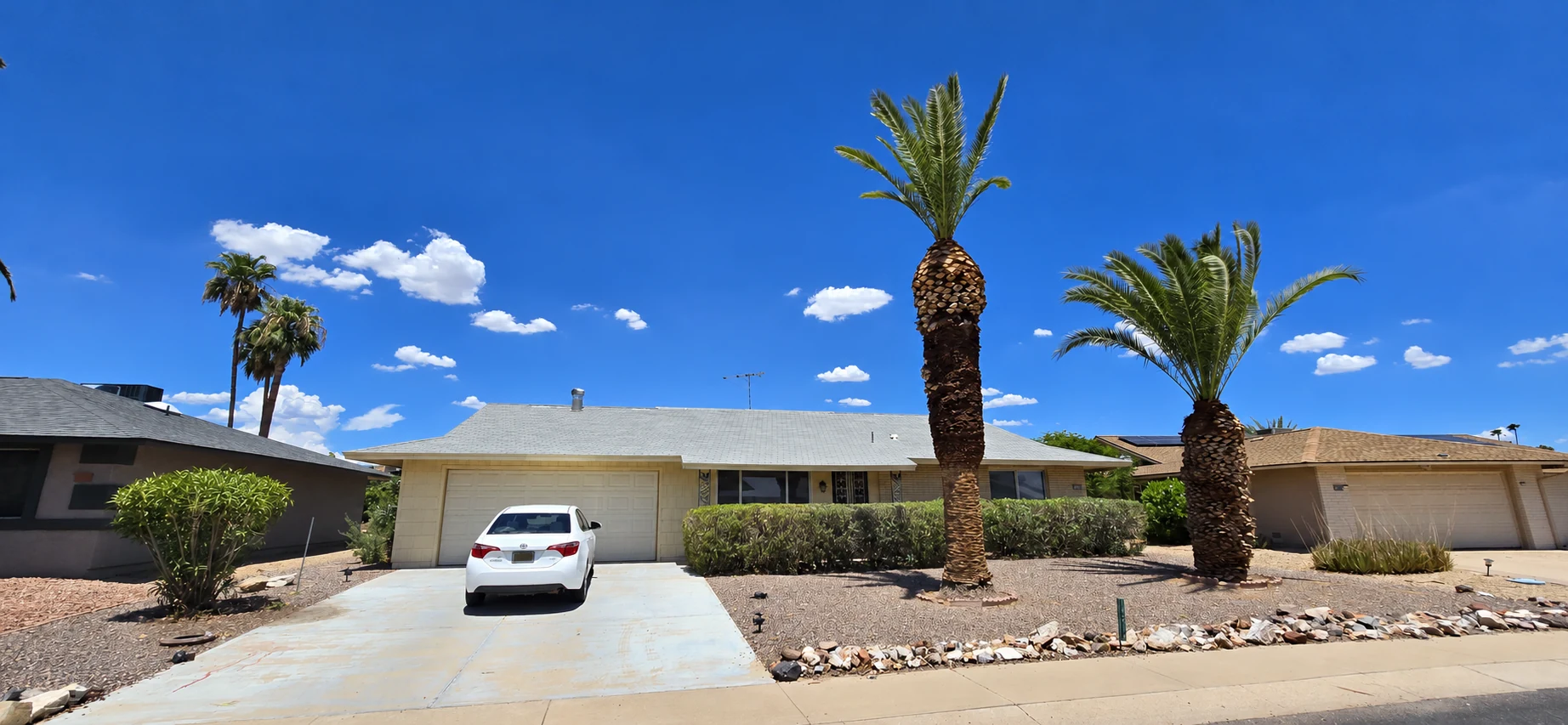 Phoenix home with trimmed palm trees after service