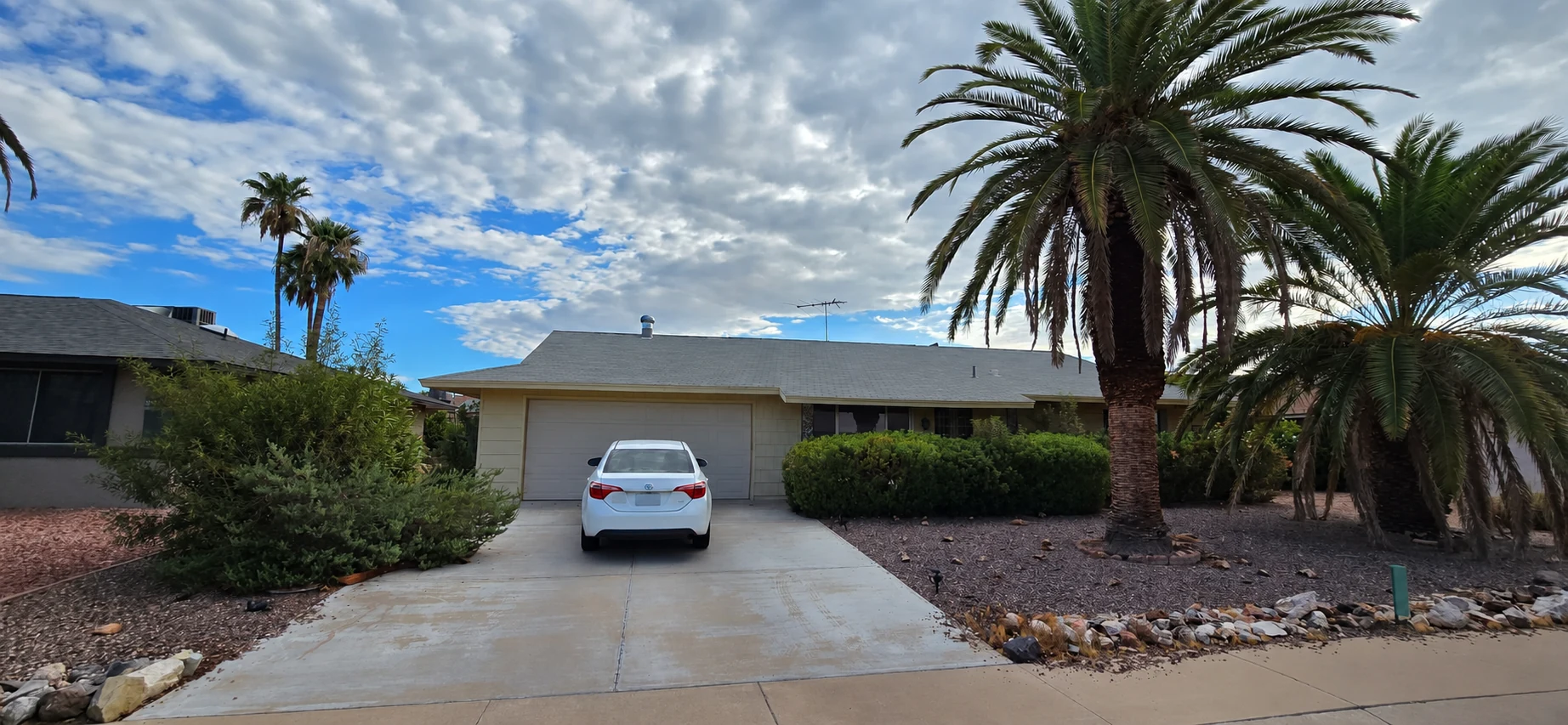 Phoenix home and palm trees before trimming